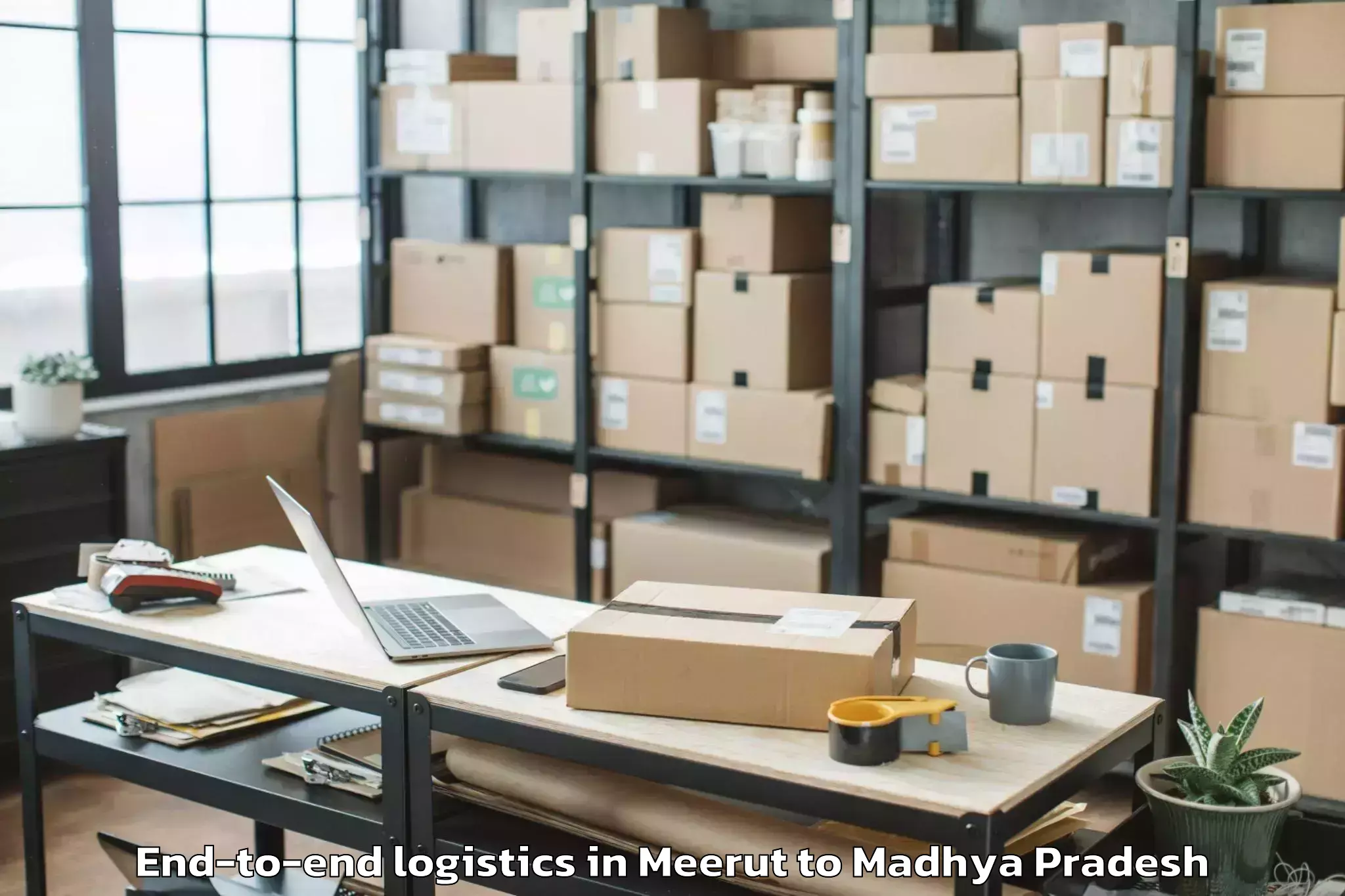 Book Meerut to Multhan End To End Logistics Online